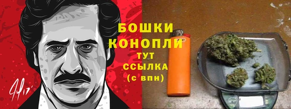 гидра Апатиты